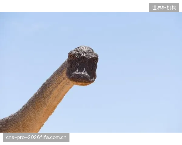 主帅加里贝罗征召了熟悉北美赛场的球员，旨在利用其经验应对不同的场地与气候条件。